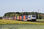 Bombardier 35488 - Metrans "187 509-5"
28.05.2026 - Nienburg (Weser)Ingmar Weidig