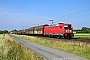 Bombardier 35498 - DB Cargo "187 171"
22.06.2019 - Dülmen-Buldern
Richard Krol