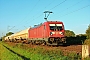 Bombardier 35502 - DB Cargo "187 174"
14.09.2023 - Dieburg Ost
Kurt Sattig