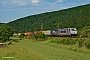 Bombardier 35526 - Metrans "386 034-3"
05.06.2019 - Gemünden (Main)-Wernfeld
Dirk Menshausen