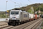 Bombardier 35530 - Metrans "386 038-4"
12.04.2024 - Königstein (Sächsische Schweiz)
Thomas Wohlfarth