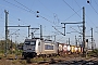 Bombardier 35530 - Metrans "386 038-4"
05.10.2024 - Oberhausen, Abzweig Mathilde
Ingmar Weidig
