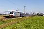 Bombardier 35555 - RTB CARGO "186 506"
05.10.2024 - Dülken
Werner Consten