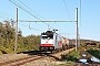 Bombardier 35558 - DB Cargo "186 507"
31.10.2020 - Warsage
Alexander Leroy