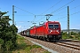 Bombardier 35582 - DB Cargo "187 184"
16.08.2022 - LeißlingenDaniel Berg