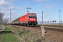 Bombardier 35583 - DB Cargo "187 185"
14.03.2020 - Zerbst (Anhalt)-Güterglück
Alex Huber