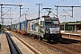 Bombardier 35636 - LOKORAIL "186 373-7"
30.06.2022 - Potsdam-Golm
Frank Noack