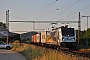 Bombardier 35705 - ČD Cargo "388 010-1"
19.06.2021 - Čebín
Jiří Konečný