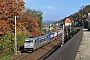 Bombardier 35320 - Metrans "386 028-5"
19.10.2017 - Königstein (Sächische Schweiz)
René Große