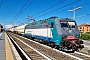 Bombardier ? - Trenitalia "E405.039"
07.08.2023 - San Pietro in Casale (Bologna)
Guido Allieri