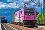 Bombardier ? - OCG "494 562"
30.07.2025 - Tricesimo
Leon Smrtic