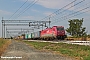 Bombardier 7974 - Oceanogate "483 007"
20.07.2013 - S.Rocco al Porto -Lo-
Ferdinando Ferrari