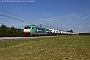 Bombardier 7975 - NORDCARGO "E 483.008"
30.08.2014 - Faenza
Riccardo Fogagnolo