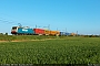 Bombardier 8241 - DB Cargo "483 102"
29.04.2017 - Stanghella
Riccardo Fogagnolo