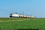 Bombardier 8252 - ST "483 025"
17.04.2019 - StanghellaRiccardo Fogagnolo