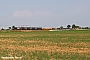 Bombardier 8256 - GTS "E 483.053"
13.07.2013 - Pontenure -Pc-Ferdinando Ferrari