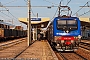 Bombardier 8362 - Trenitalia "E 464.636"
30.05.2025 - Cervignano
Simone Menegari