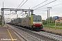 Bombardier 8469 - Captrain "483 304"
04.06.2016 - PontenureFerdinando Ferrari