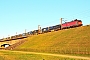 Krauss-Maffei 20426 - DB Schenker "EG 3103"
04.09.2014 - Nyborg
Peider Trippi