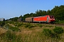 Krauss-Maffei 20436 - DB Schenker "EG 3113"
11.07.2013 - Tarp
Krisztián Balla