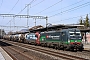 Siemens 22155 - SBB Cargo "193 259"
02.03.2022 - SissachTheo Stolz