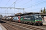 Siemens 22155 - SBB Cargo "193 259"
02.03.2022 - Sissach
Theo Stolz