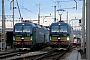 Siemens 22155 - SBB Cargo "193 259"
23.02.2017 - MuttenzPeider Trippi
