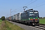 Siemens 22155 - LTE "193 259"
21.09.2024 - Friedland-Niedernjesa
Martin Schubotz