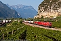 Siemens 22466 - DB Cargo "193 339"
30.08.2024 - Ossenigo
Simone Menegari