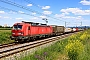 Siemens 22466 - DB Cargo "193 339"
20.05.2025 - Heddesheim
Wolfgang Mauser