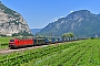 Siemens 22474 - DB Cargo "193 346"
13.06.2019 - Salorno
Marcus Schrödter