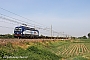 Siemens 22288 - WRS "193 491"
08.05.2020 - CasalpusterlengoFerdinando Ferrari