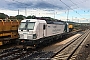 Siemens 21993 - StB TL "193 844"
09.06.2017 - Stuttgart-Untertürkheim, Güterbahnhof
Paul Tabbert