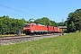 Siemens 20244 - DB Cargo "152 117-8"
12.06.2023 - Beratzhausen-Sinngrün (Weiler)
Tobias Schmidt