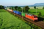 Siemens 20286 - DB Cargo "152 159-0"
07.06.2016 - Northeim
Peider Trippi