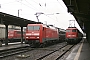 Siemens 20290 - Railion "152 163-2"
14.02.2004 - Bebra
Daniel Berg