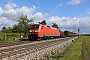 Siemens 20290 - DB Cargo "152 163-2"
05.05.2021 - Wiesental
Wolfgang Mauser