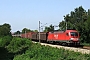 Siemens 20309 - DB Schenker "182 012-5"
19.08.2009 - Unter Oberndorf
Gábor Árva