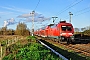 Siemens 20309 - DB Regio "182 012"
03.11.2019 - Papendorf (Warnow)-Sildemow
Richard Graetz