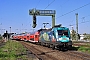 Siemens 20310 - DB Regio "182 013"
20.05.2014 - Magdeburg, Neustadt
René Große