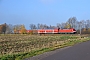 Siemens 20312 - DB Regio "182 015"
12.11.2012 - Radegast
Marcus Schrödter