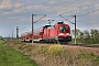 Siemens 20317 - DB Regio "182 020"
30.04.2016 - ZschortauDirk Einsiedel