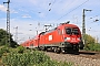 Siemens 20319 - DB Regio "182 022-4"
08.09.2018 - Magdeburg, Elbbrücke
Thomas Wohlfarth