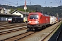 Siemens 20320 - Railion "182 023-2"
22.08.2008 - Kufstein
Thomas Wohlfarth