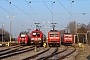 Siemens 20320 - DB Regio "182 023-2"
09.02.2018 - Schwerin
Peter Wegner