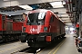 Siemens 20352 - ÖBB "1016 004"
14.03.2017 - Innsbruck
Thomas Wohlfarth