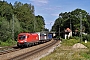 Siemens 20353 - ÖBB "1016 005"
09.08.2014 - Aßling (Oberbayern)
René Große