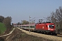 Siemens 20357 - ÖBB "1016 009-1"
04.04.2009 - Unter Oberndorf
Gábor Árva