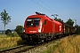 Siemens 20357 - ÖBB "1016 009-1"
06.08.2003 - Renningen
Werner Brutzer