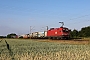 Siemens 20357 - ÖBB "1016 009"
13.06.2023 - Altheim (Hessen) 
Nils Lachmann